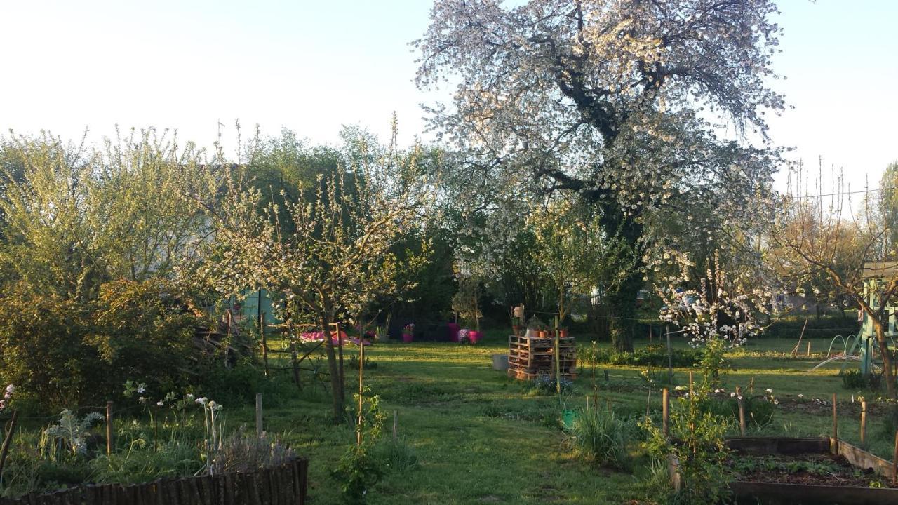 Chambre D'Hotes A La Campagne Nevers Challuy 외부 사진